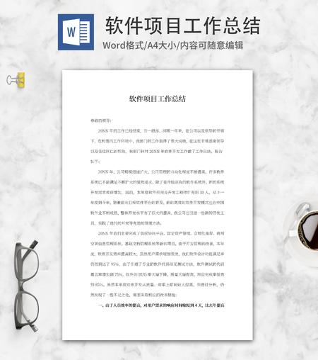 软件项目工作总结word模板