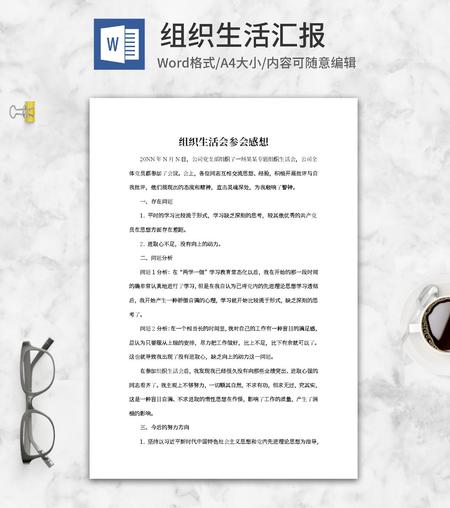 公司组织生活会参会感想word模板