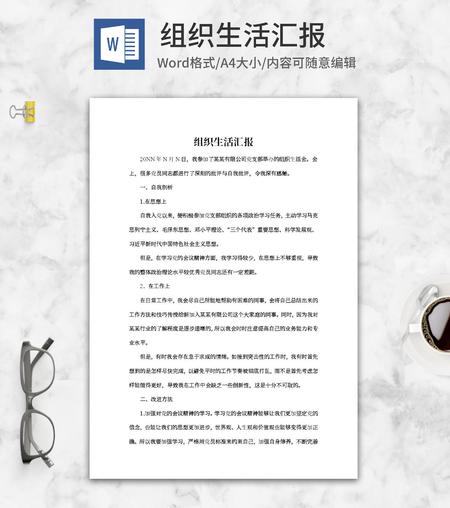 公司党支部党员组织生活汇报word模板