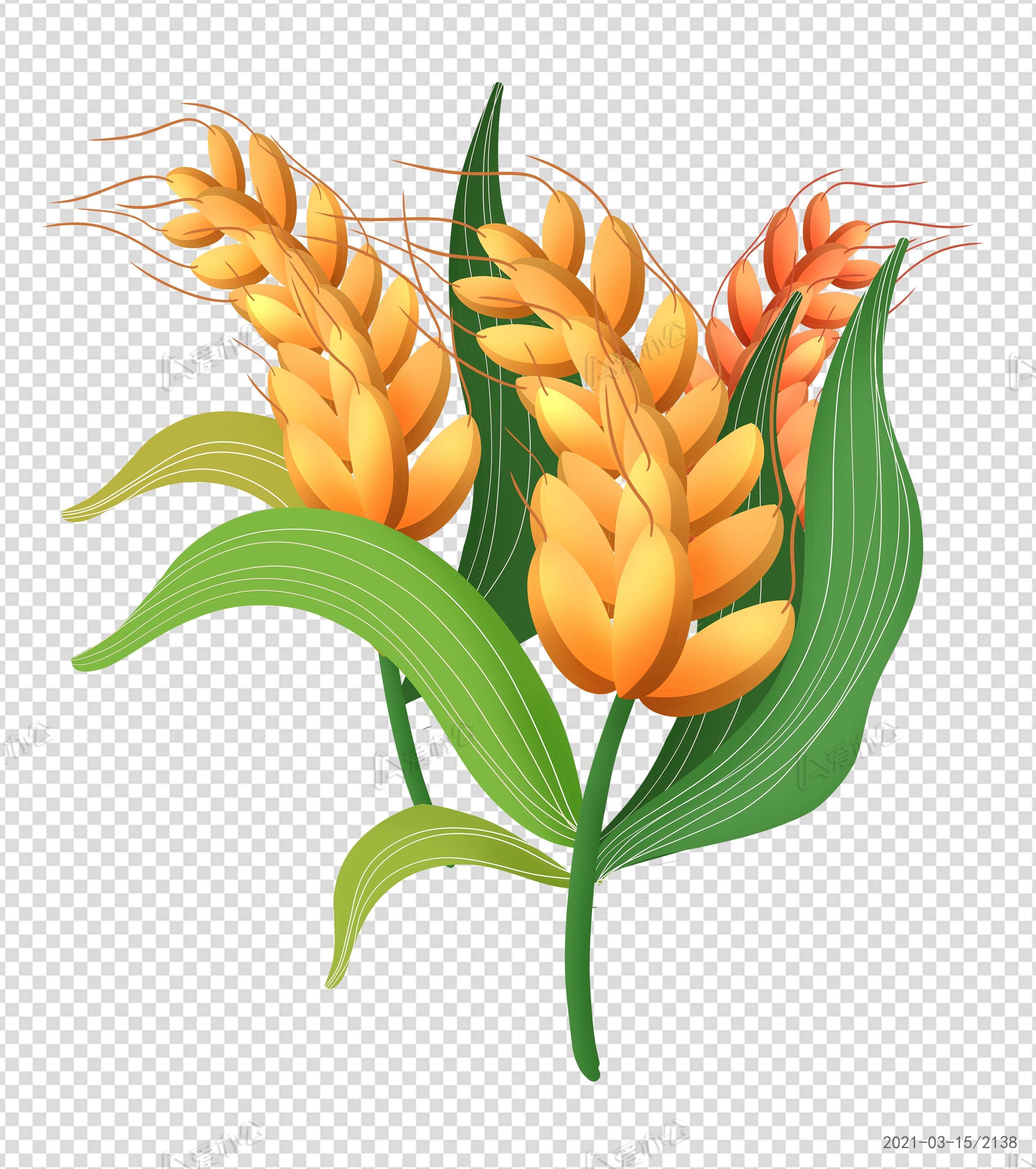 卡通小麦小满手绘元素下载_爱办公