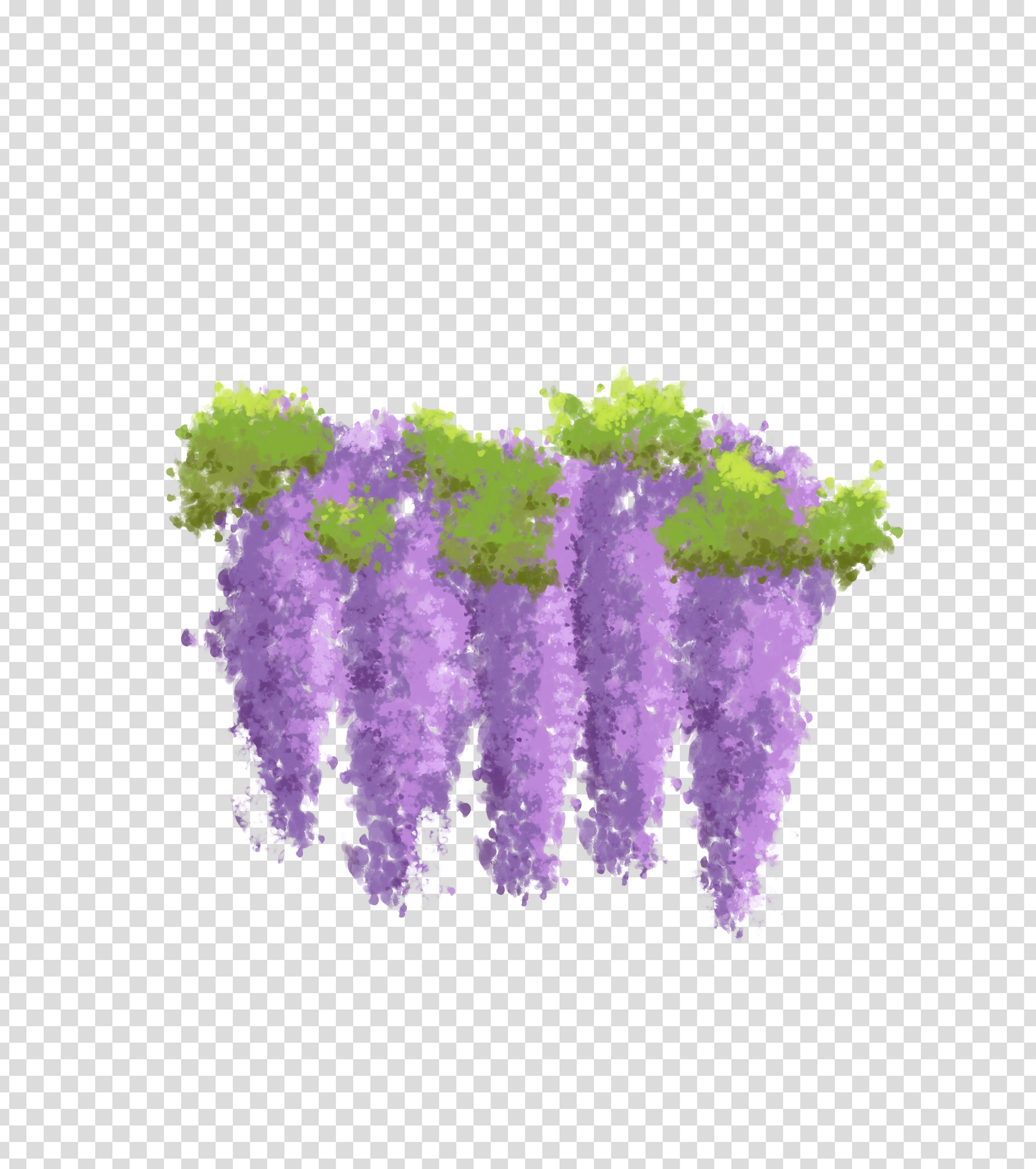 紫色自然紫藤萝瀑布手绘元素